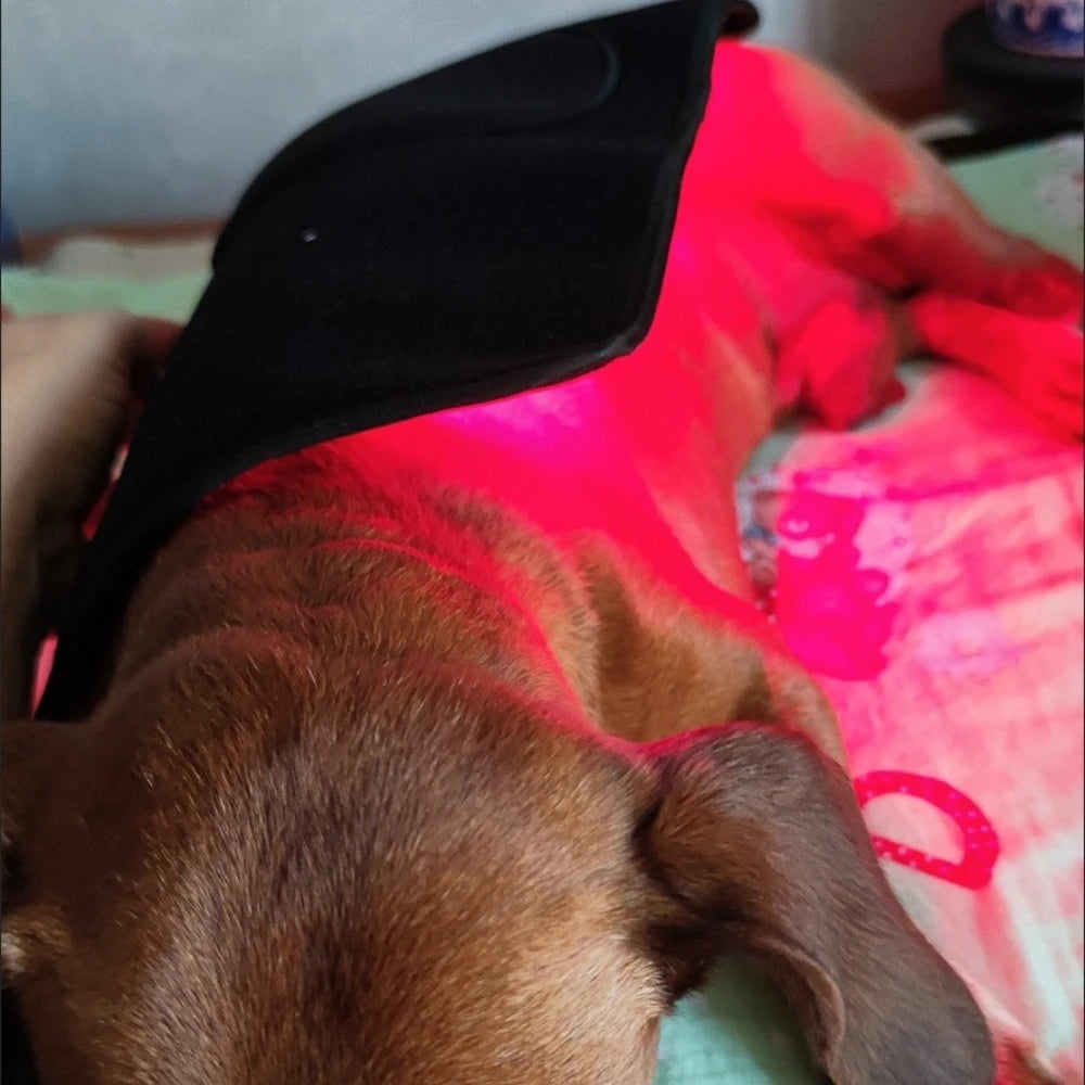 Red Light Therapy Pet Patch