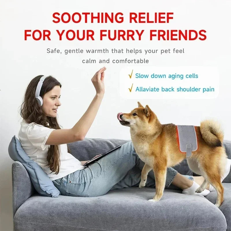 Red Light Therapy Pet Patch