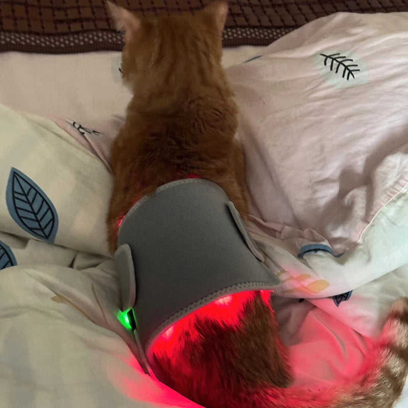 Red Light Therapy Pet Patch