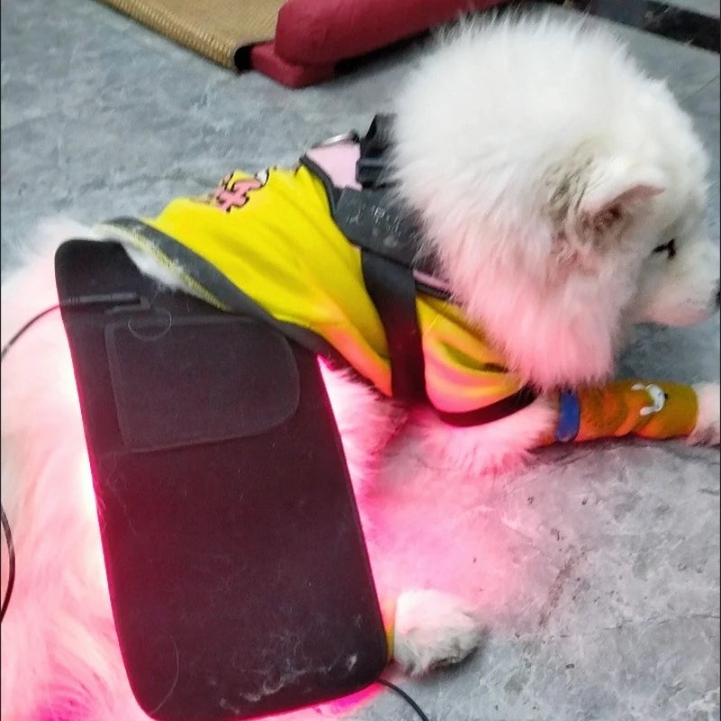 Red Light Therapy Pet Patch
