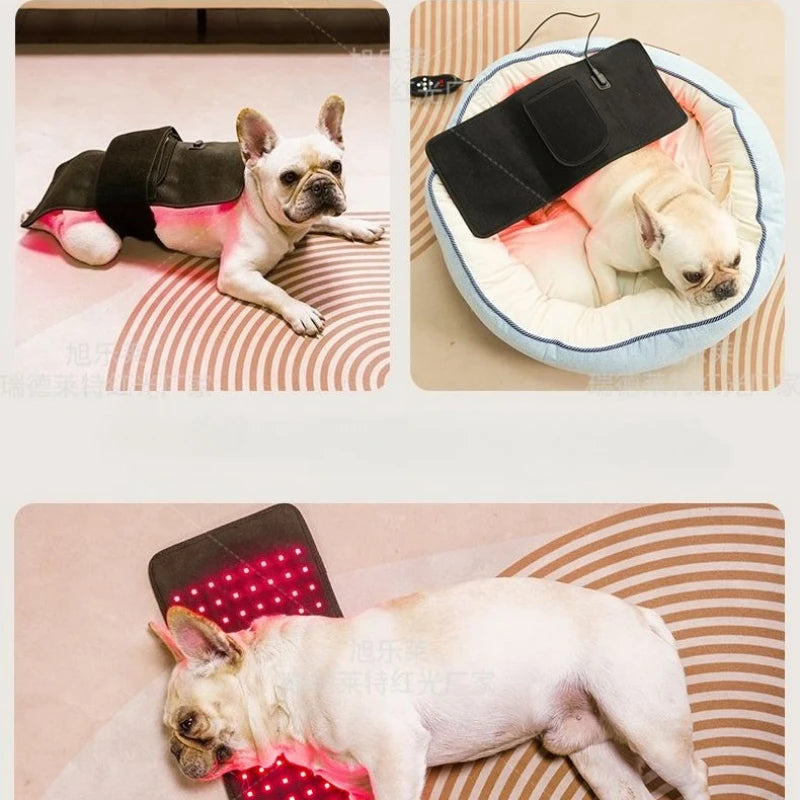 Red Light Therapy Pet Patch