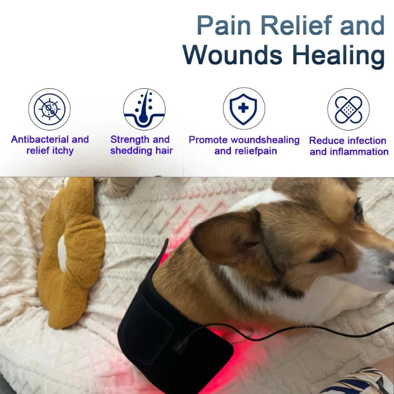 Red Light Therapy Pet Patch